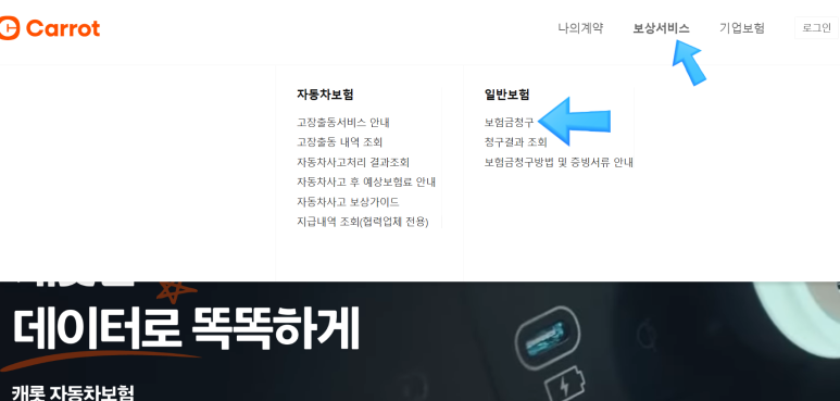 캐롯투어 이미지