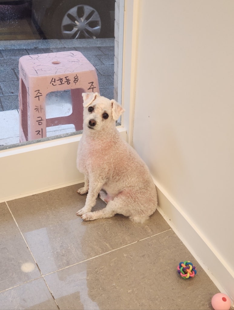 보리미용실 이미지