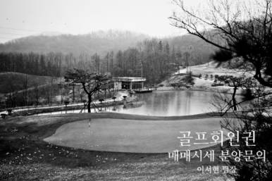 드림투비전 이미지