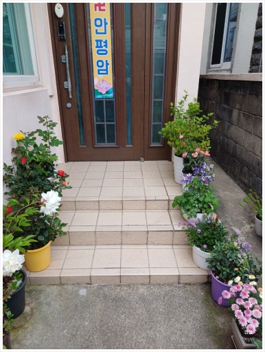 안평상사 이미지