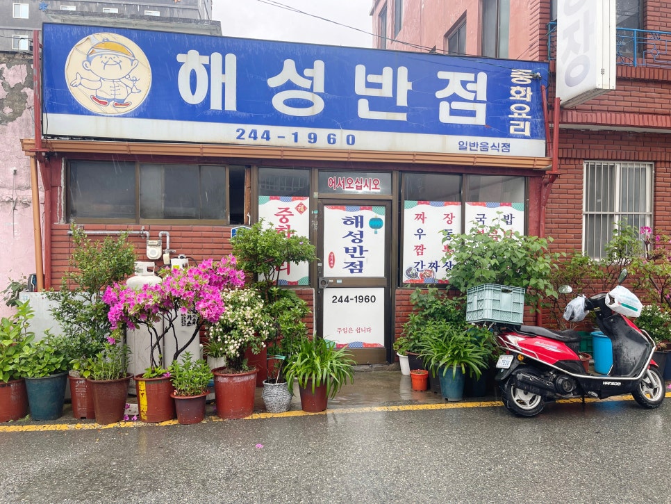 해성반점 이미지