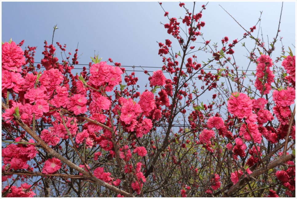 구구산장펜션 이미지