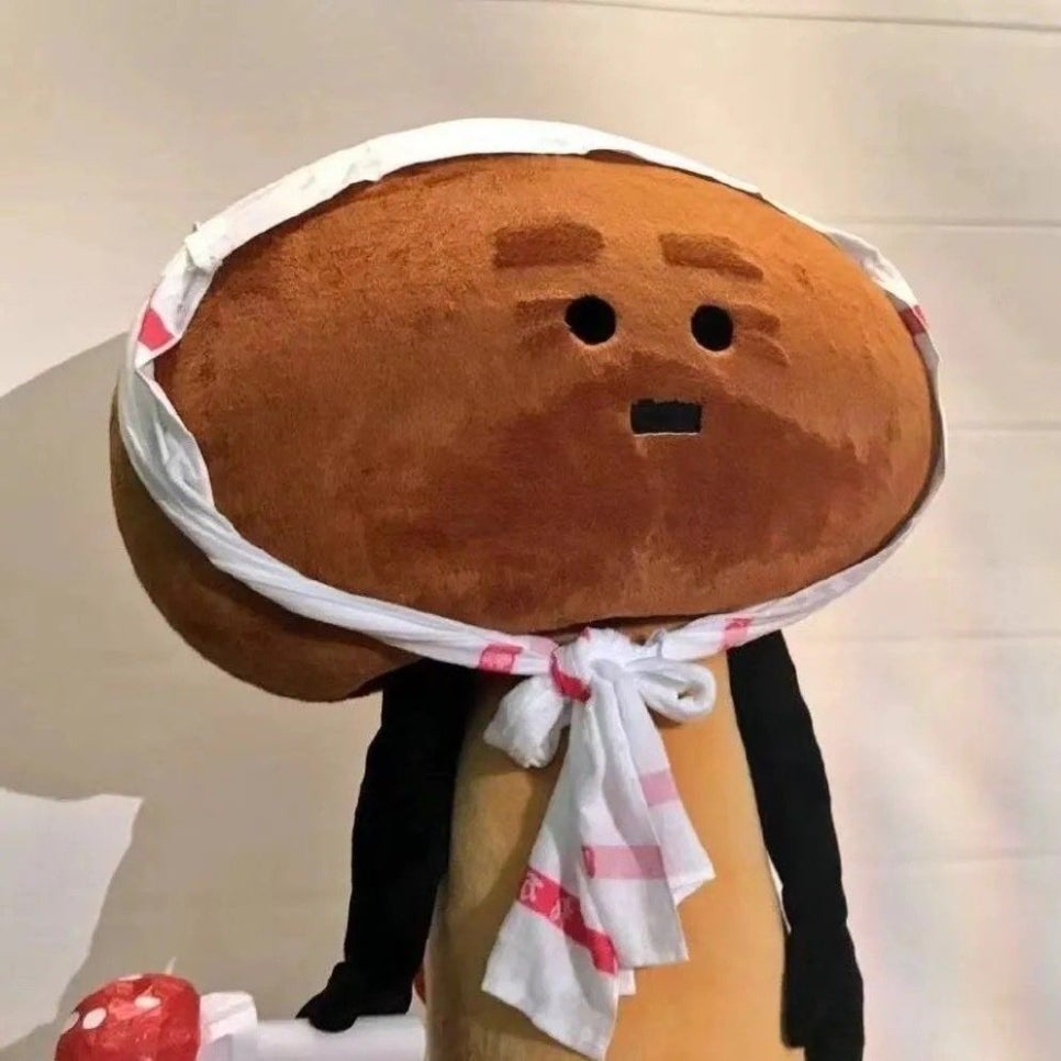 스네지호 이미지