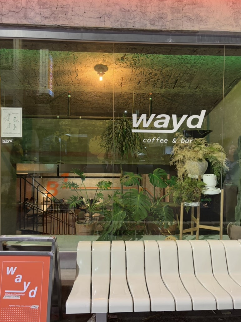 웨이드(wayd) 이미지