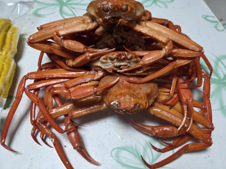 호야네씨푸드 이미지