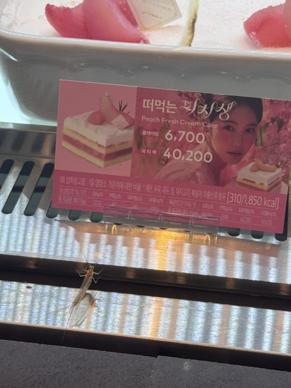 투썸플레이스(신가점) 이미지