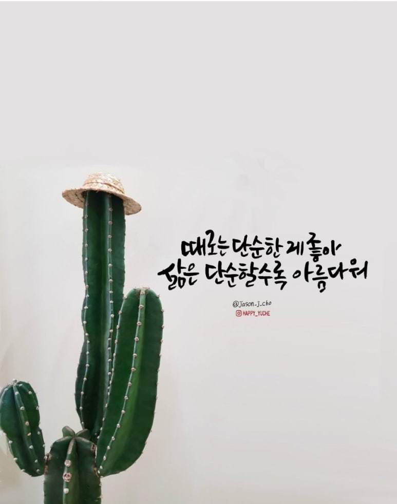 미덕 이미지