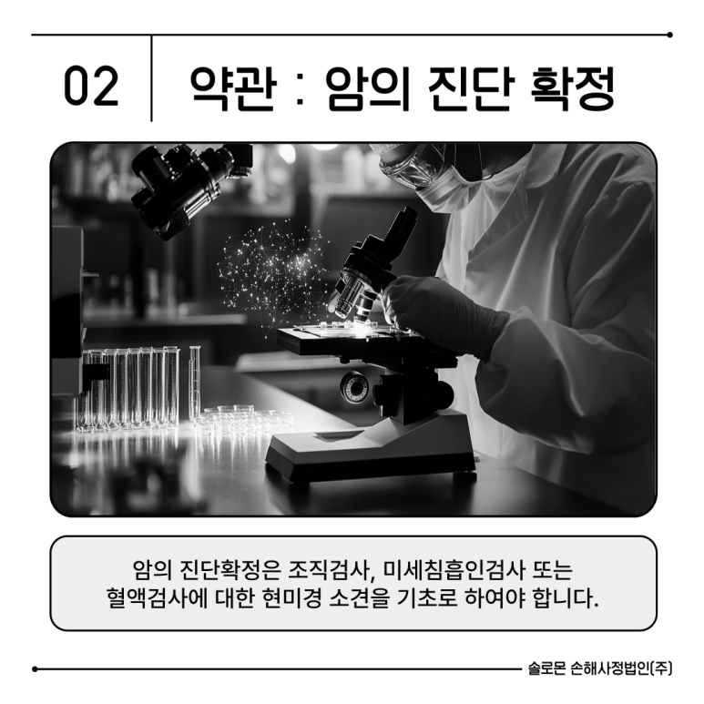 세포상회 이미지