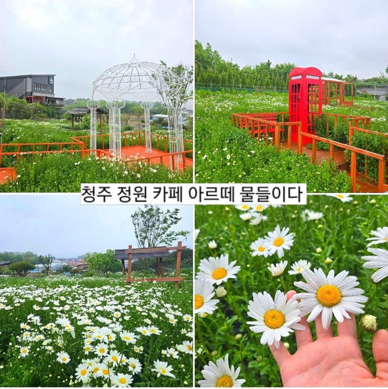 물들이다 이미지