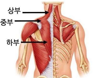 언더로우 이미지