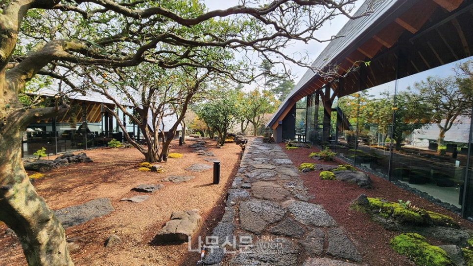 제주바람투어 이미지