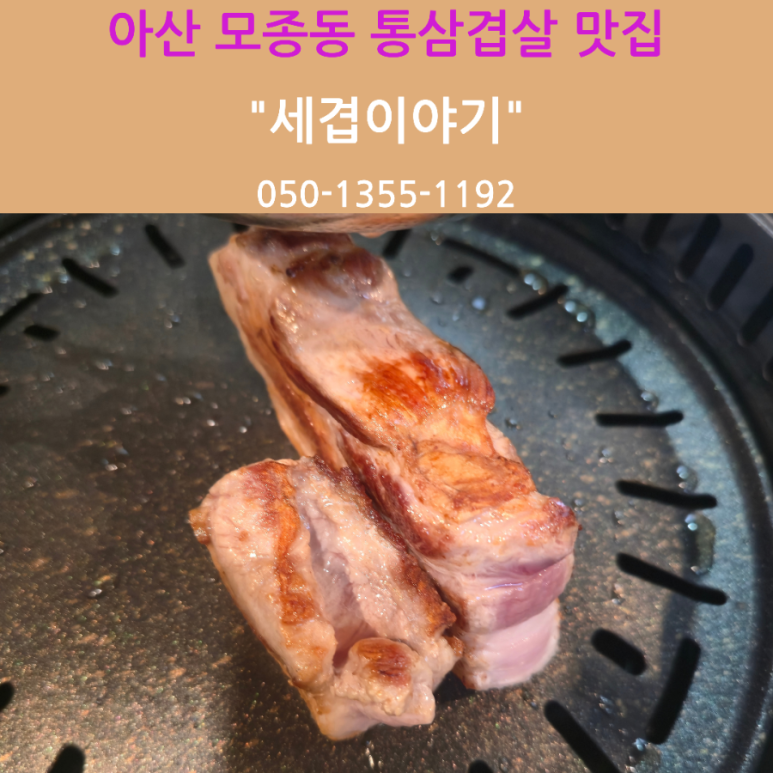 세겹 이미지