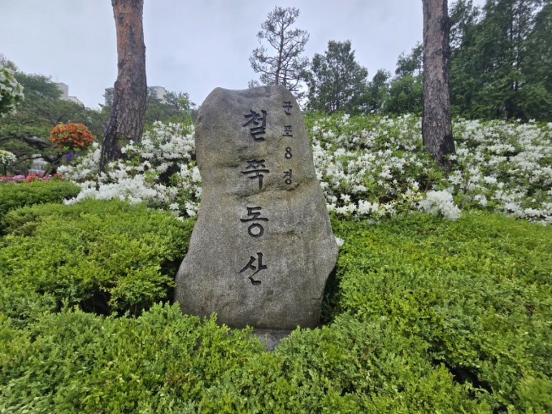 군포철쭉 이미지