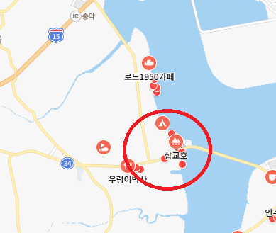 프로코아 이미지