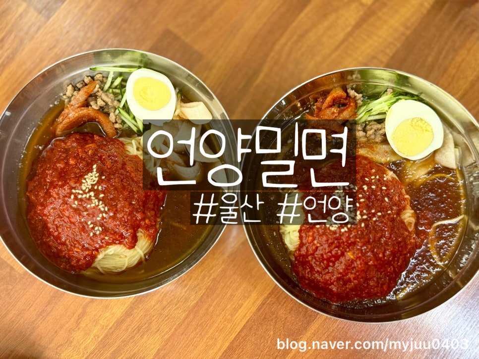 언양밀면 이미지