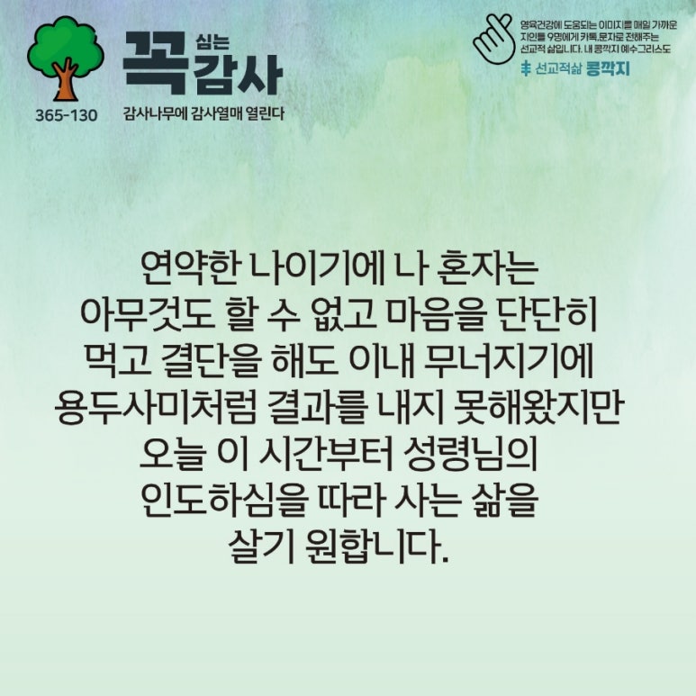 콩깍지 이미지