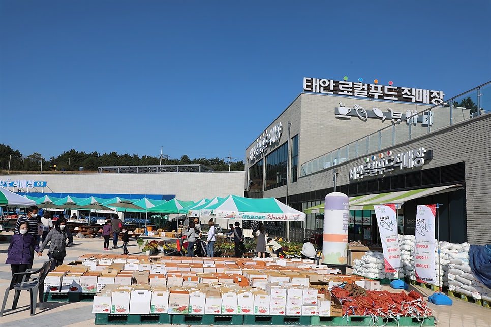 마레모어 이미지