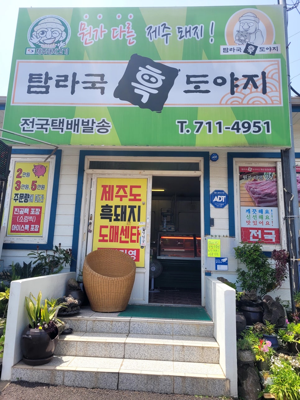 제주흑도야지 이미지