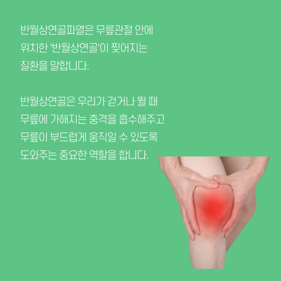 세일정형외과 이미지
