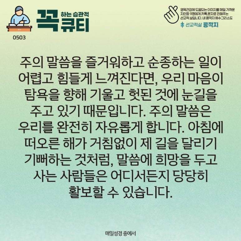 콩깍지 이미지