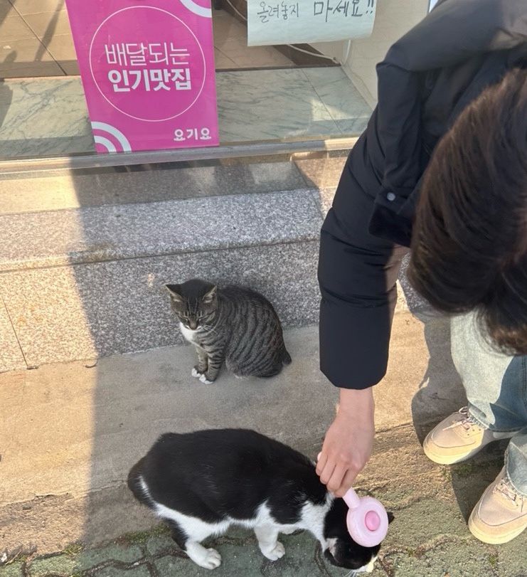 아워해피시즌 이미지