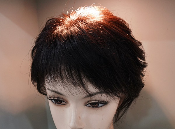 가모미모 이미지