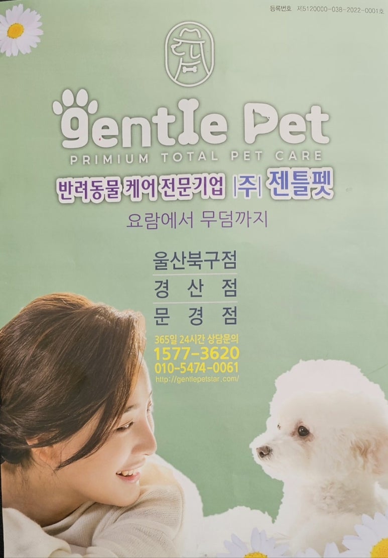 젠틀펫 이미지