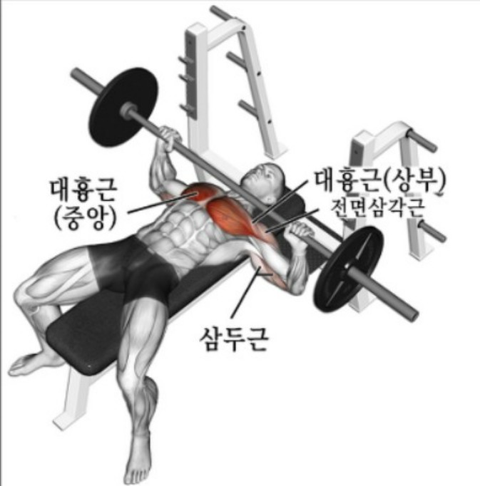 프레스 이미지