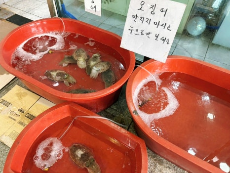 서포농협하나로마트 이미지
