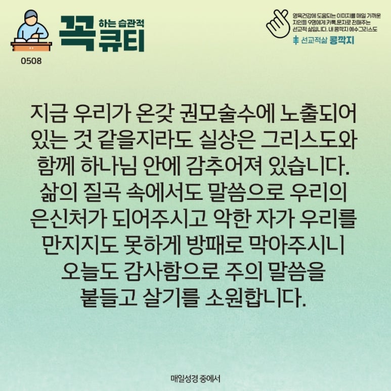 콩깍지 이미지