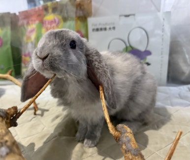 당진아크릴 이미지