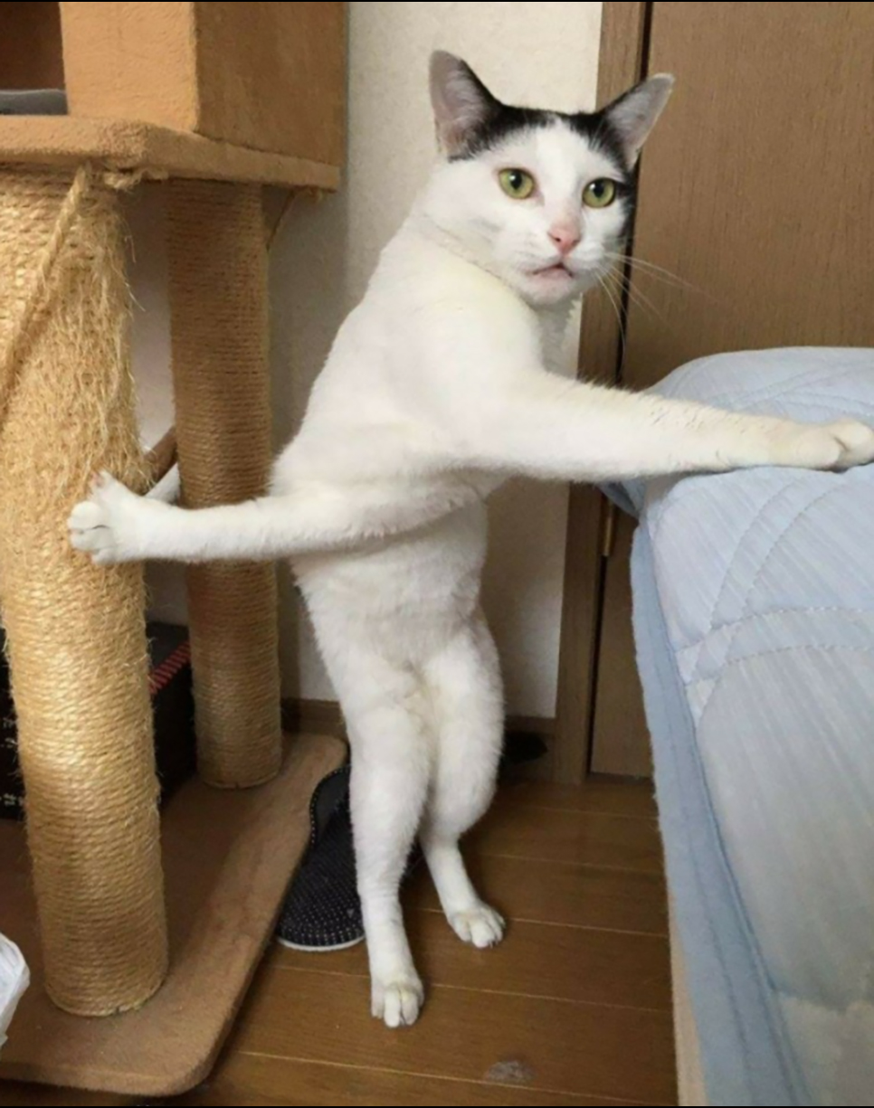 가가대소 이미지