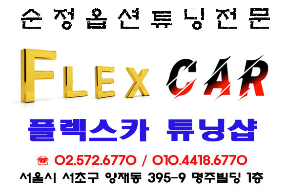 플렉스카 이미지