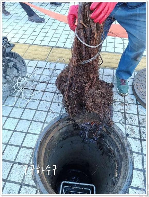 하수구막힘 이미지