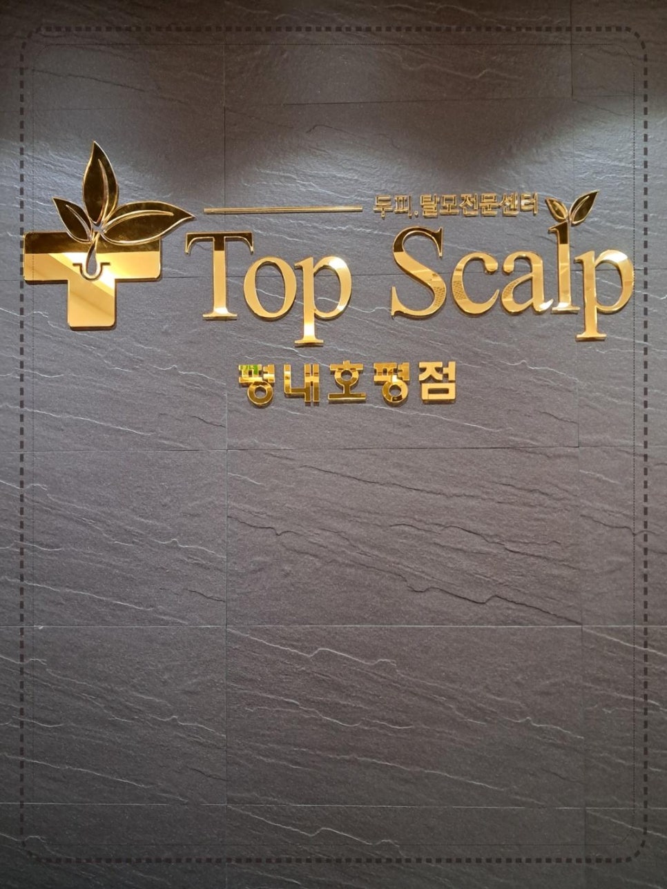 에이스스칼프 이미지