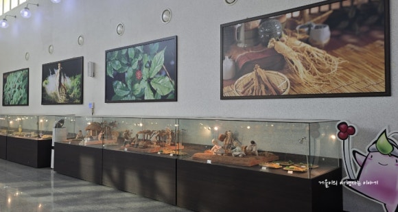 풍기선비골인삼시장 이미지