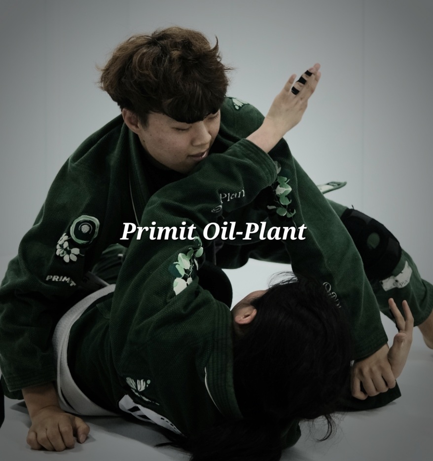 프라이밋 이미지