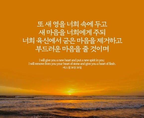 새영 이미지