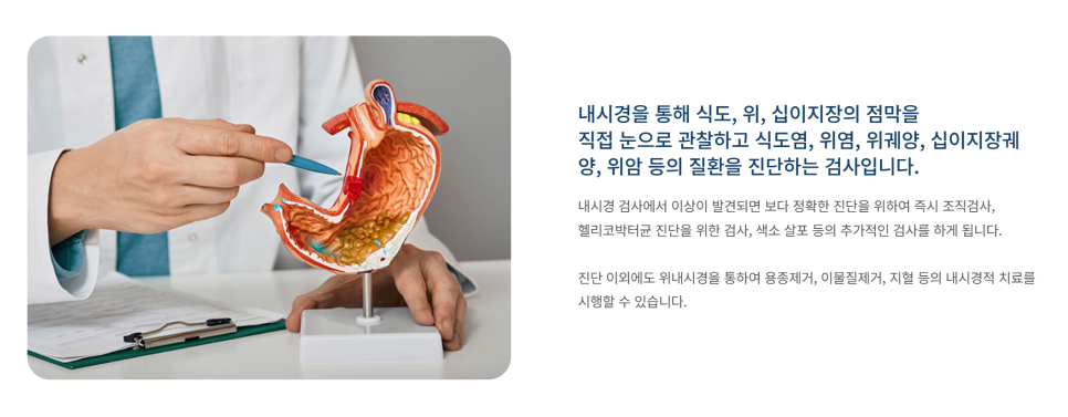 서울태내과 이미지