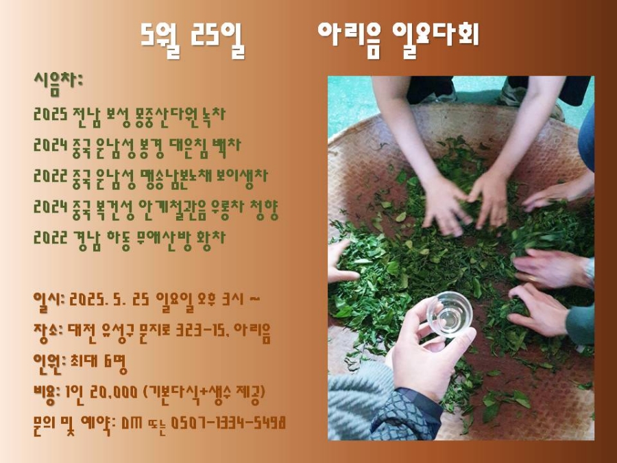아리음 이미지