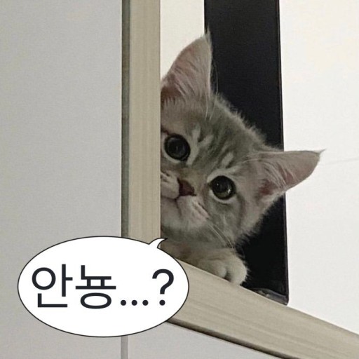 톤톤프리미엄키즈카페 이미지