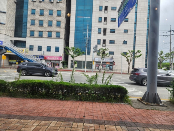 베누스헤어 이미지