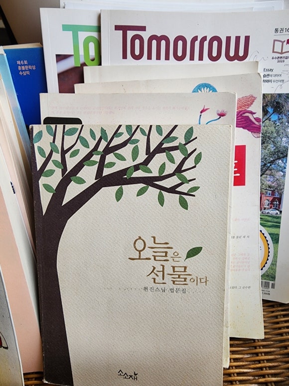 베누스헤어 이미지