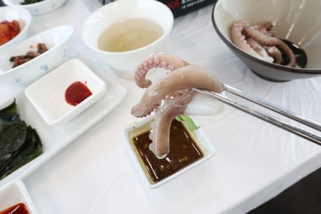 낙지박사 이미지