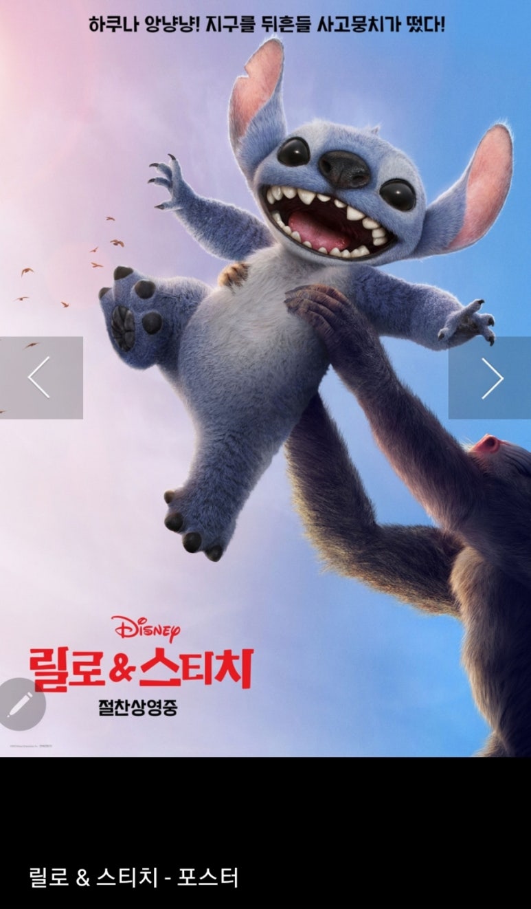 밝은실사 이미지