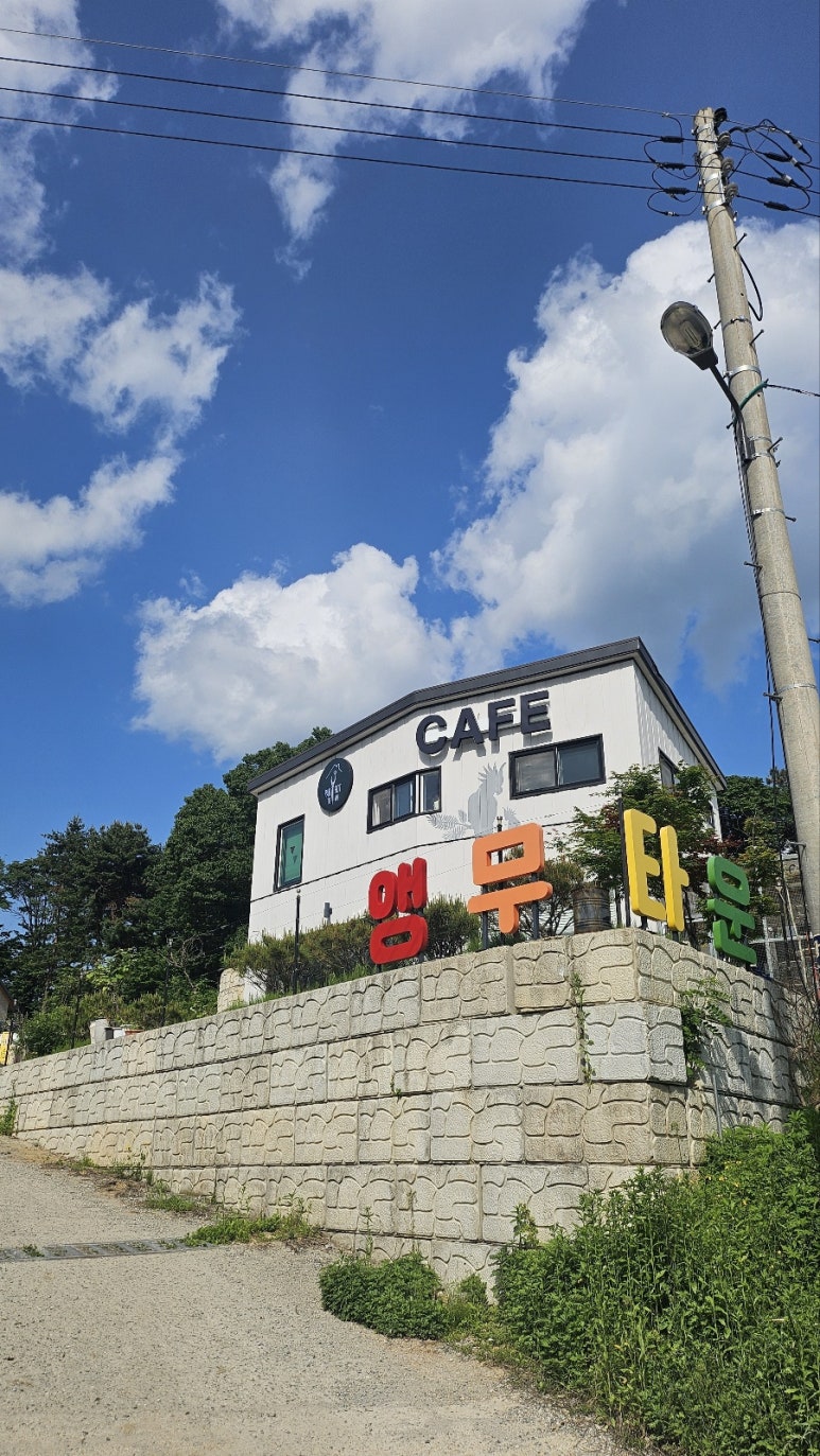 앵무타운 이미지