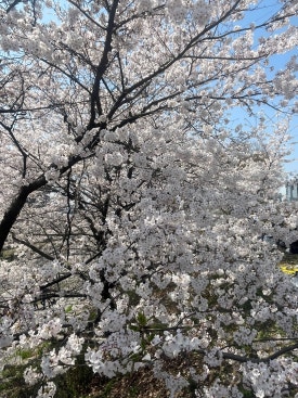 (주)에슬로우 이미지