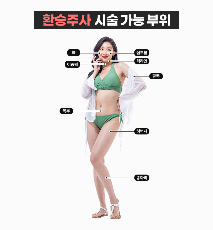 환승바디 이미지