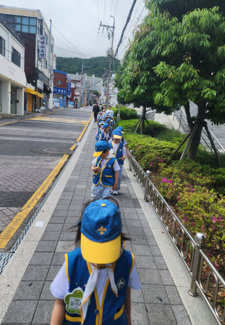 새들유치원 이미지