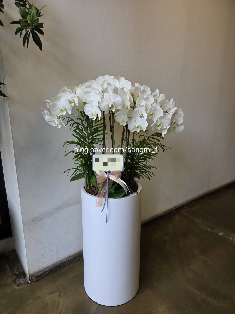 상미화원 이미지
